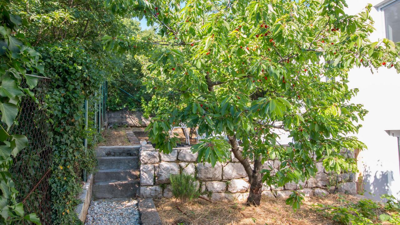 Organic Gardens Villa تْسْغيكفانِتْسا المظهر الخارجي الصورة