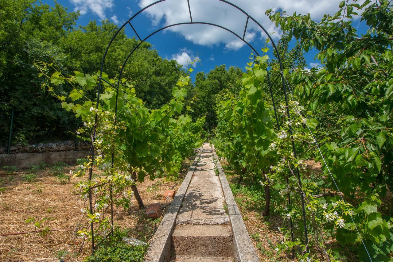 Organic Gardens Villa تْسْغيكفانِتْسا المظهر الخارجي الصورة